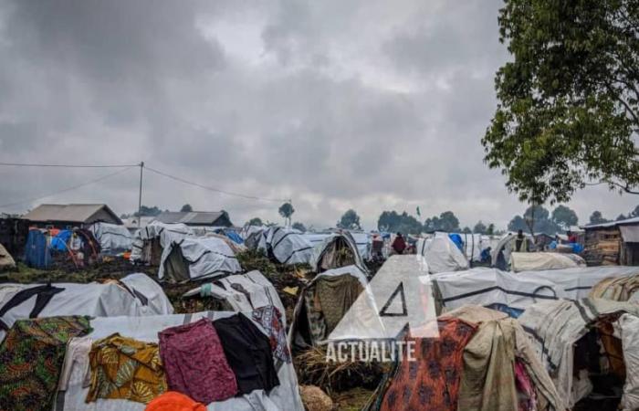 Is the DRC: IOM calls for urgent and lasting support to lighten the suffering of displaced people