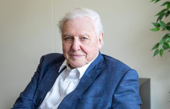 At the age of 99, David Participorough releases a new film on the oceans