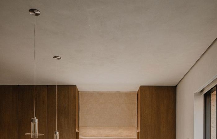 Near Antwerp, an architect -designed house for art