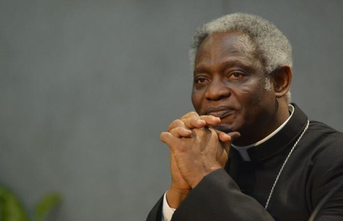 Who are the main cardinals expected to succeed François?