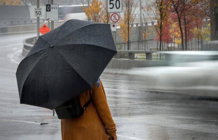 Weather in Quebec: rain is invited for the rest of the week
