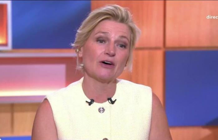 “You really want me to relapse …”: Anne-Élisabeth Lemoine annoys a guest in C to you, big moment of floating