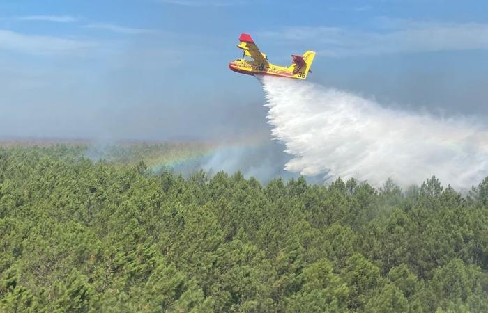 “The government neglects those who fight against fires”