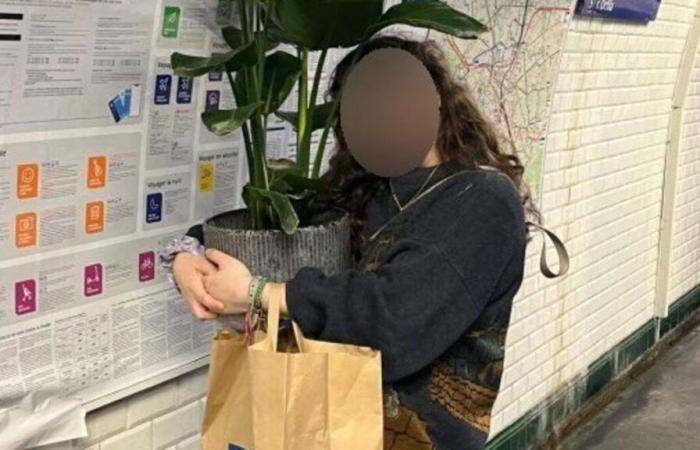 Paris: Verbalized of 150 euros for transporting a plant in the metro, the traveler will finally be reimbursed