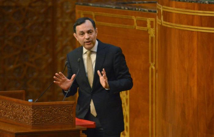 In Parliament, Sekkouri evokes a plan of reform of the Anapec – Telquel.ma
