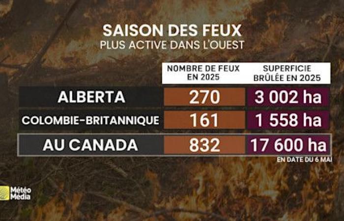 A disturbing phenomenon in spring grows in Canada