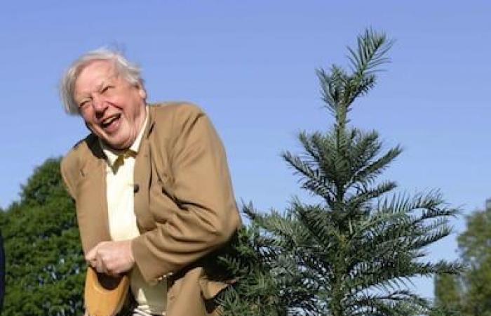 At the age of 99, David Participorough releases a new film on the oceans