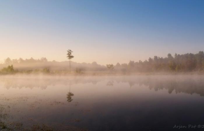 When does the colder air species make way for a warmer again?