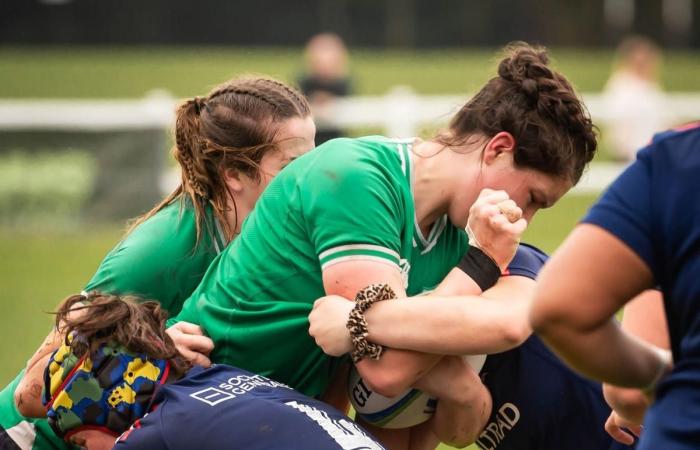 Rugby, football, basketball and handball: to meet the five promises of Sport Palois