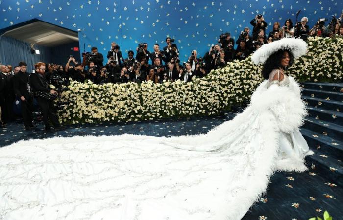 Diana Ross Makes Her Return to the Met Gala for the First Time in Over 20 Years