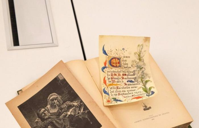 Warning: The Bolliet’s Tour is transformed into an art gallery