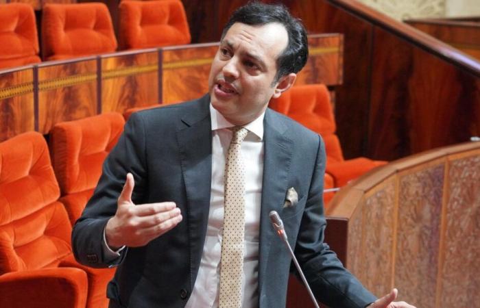 Sekkouri: the job roadmap focused on supply and demand