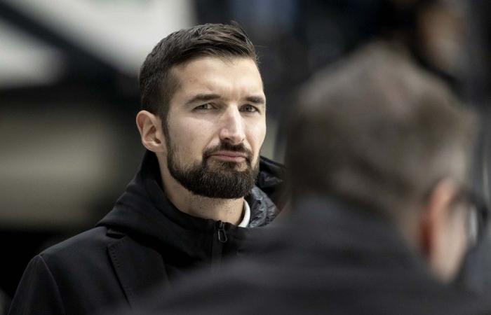 Bayer and Fischer coaches boost Swiss hockey