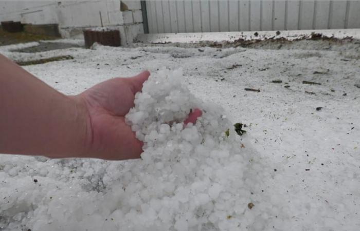 Minus 9 degrees – DWD warns of frost shock