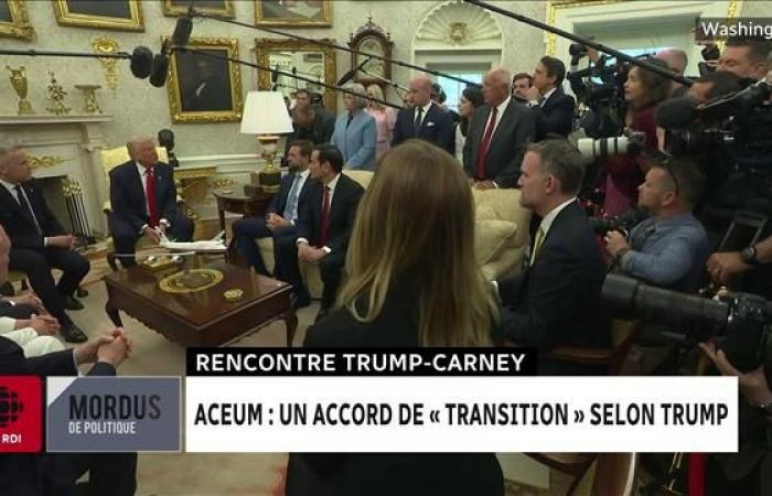 Carney displays optimism after meeting Trump
