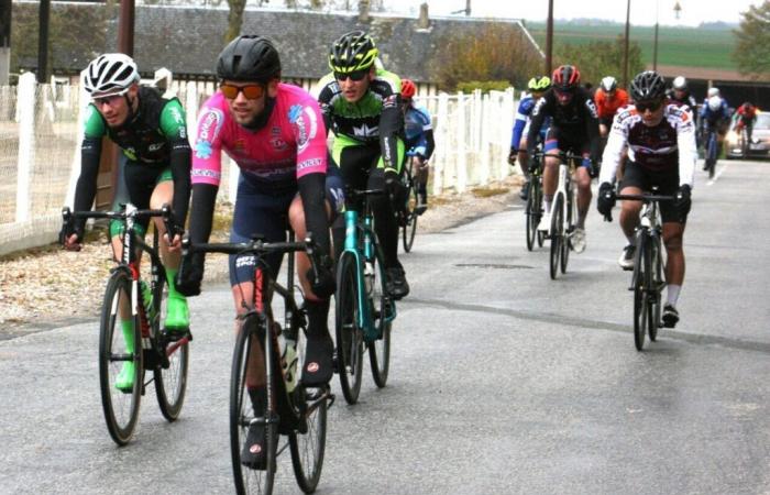 Three races on the Harcourt Prize program