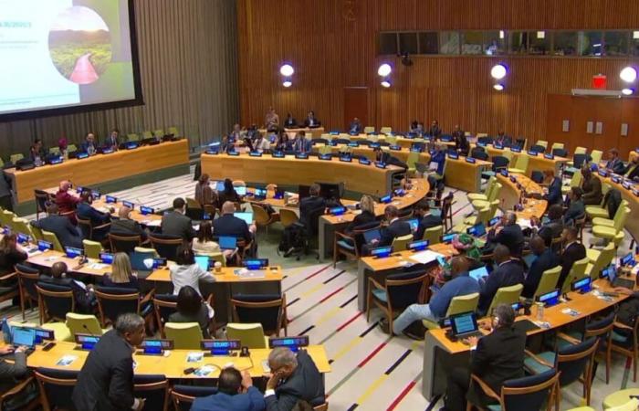 Morocco chairs the 20ᵉ session of the United Nations Forum on Forests