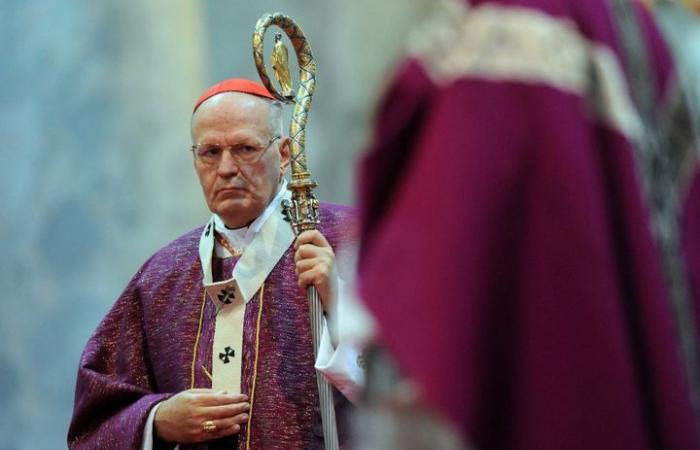 Who are the main cardinals expected to succeed François?