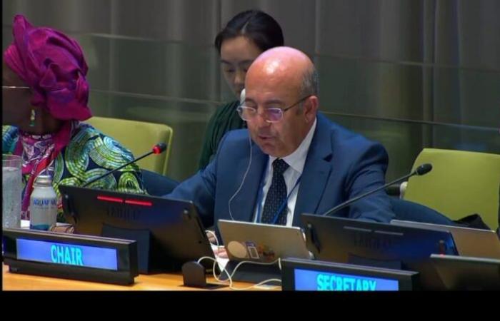 Morocco chairs the 20ᵉ session of the United Nations Forum on Forests