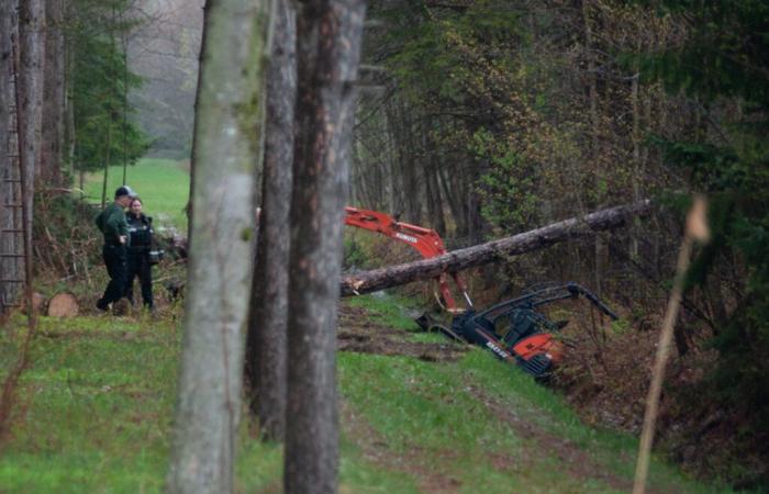 A man injured during forestry work
