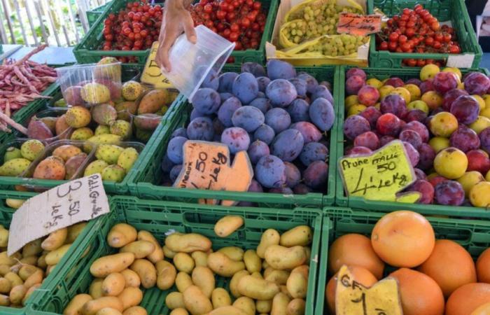 Swiss fruits and vegetables contain tire additives