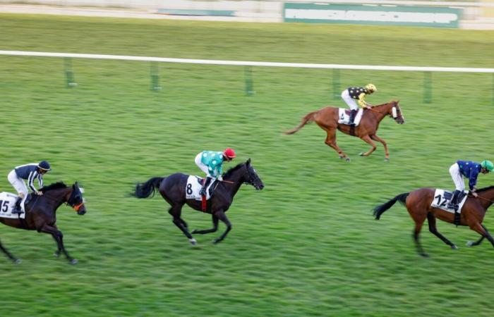 Three racing horses die the same day on the same racetrack