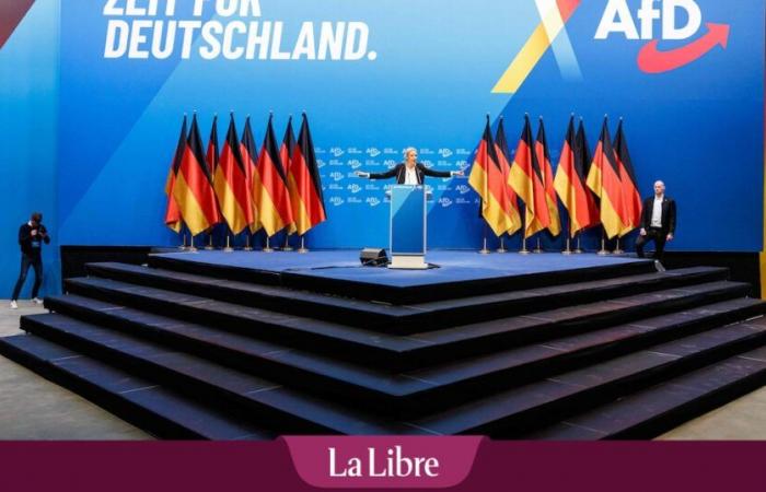 Germany: AFD, the first opposition party, more isolated than ever
