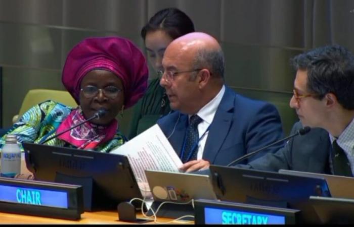 Morocco chairs the 20ᵉ session of the United Nations Forum on Forests