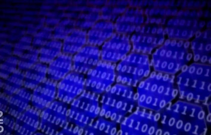 The number of cybercidents reported in Switzerland increased significantly in 2024 – RTS.CH