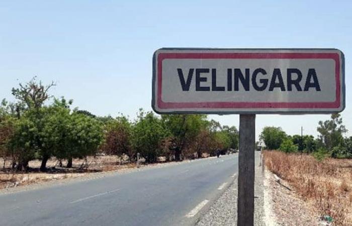 Vélingara – School of land: a foreign subject stopped in possession of 113 false administrative acts of plots – Lequotidian