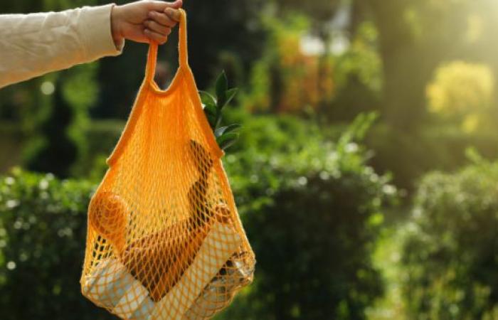 Consumption trends in 2025: the French and their relationship with brands