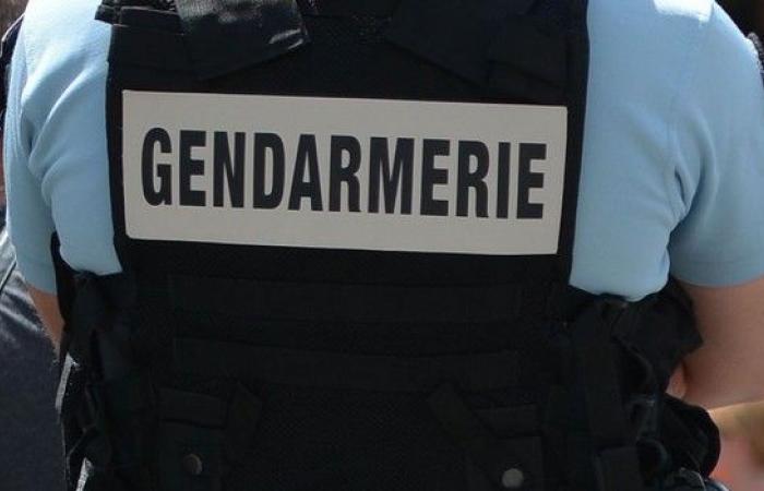 Vosges: a sixties placed in pre -trial detention for the murder of his adoptive daughter – Linfo.re