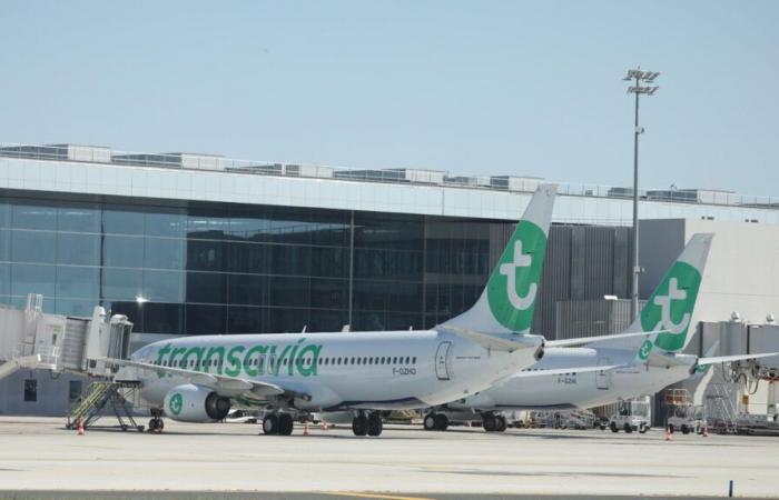 Nice, Toulouse, Marseille: Transavia takes up the lines from Air France to Orly