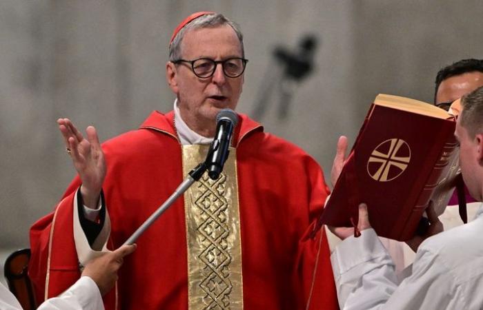 Who are the main cardinals expected to succeed François?