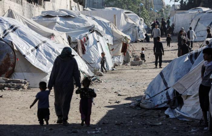 Soldiers, residents, food … what we know about the project to conquer the Gaza Strip