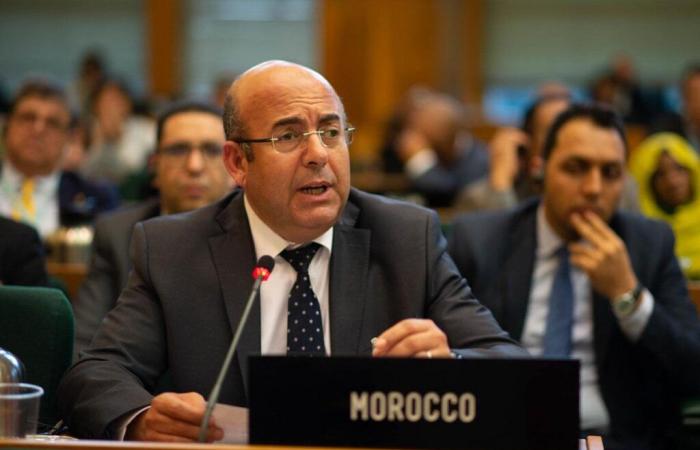 Morocco chairs the 20th United Nations Forum on Forests in New York