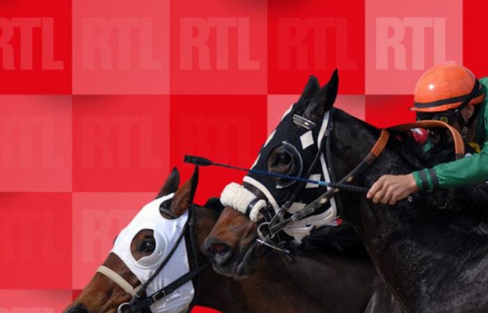 Quinté of Wednesday, May 7, 2025 at night at Longchamp: the forecasts