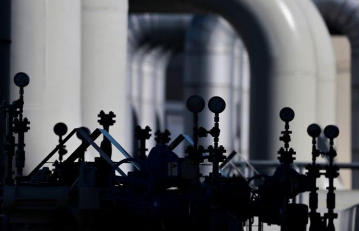 The EU will propose to ban imports of Russian gas by the end of 2027, according to a document project – 06/05/2025 at 16:23