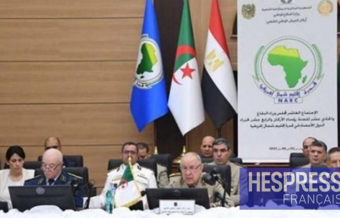 Egypt declines its participation in the military exercise of NARC