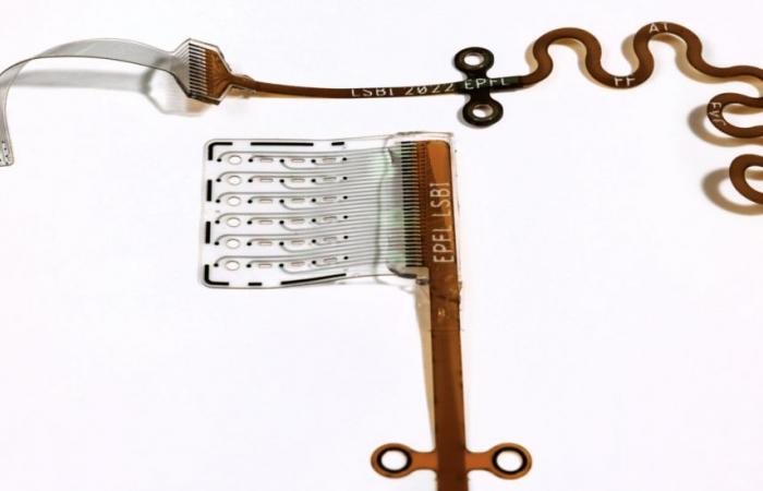 Researchers have developed a hearing implant of the flexible brainstem