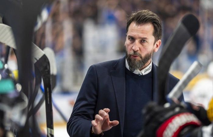 Bayer and Fischer coaches boost Swiss hockey