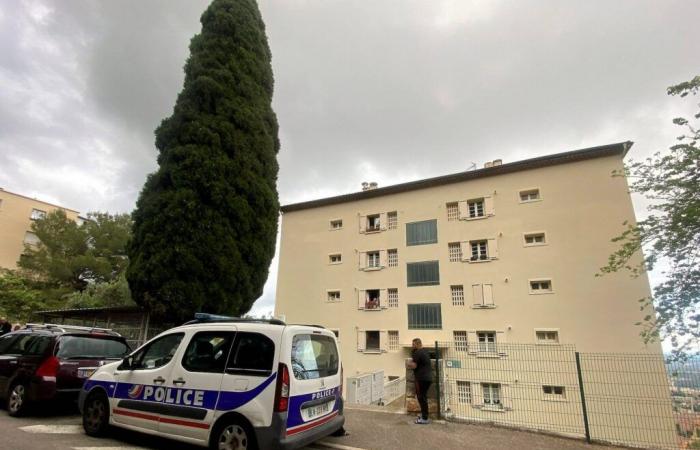 “At the beginning, I thought I saw a plush”: what we know about the deadly fall on the 8th floor of a 2 year old child in Grasse