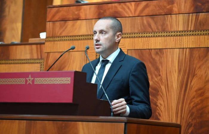 Al -Tahrawi: The regional platforms of stock and initial precautions will raise the readiness of medical intervention