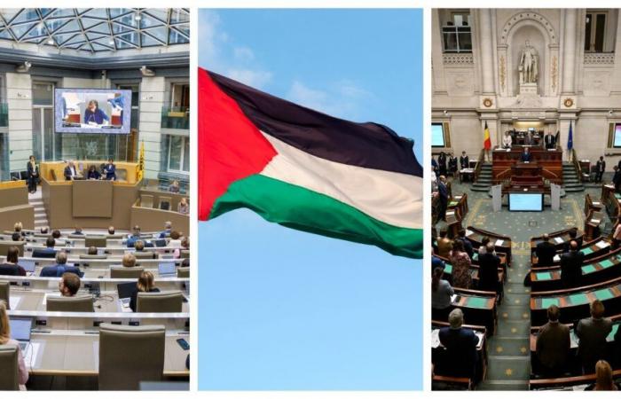 Recognition of Palestine: a majority resolution of the Flemish side, consultation in the federal majority Thursday with a vote at the end of the month