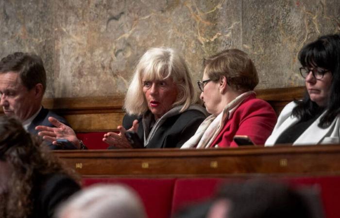 Two deputies from the National Assembly excluded temporarily for illicit use of their mandate costs – Liberation
