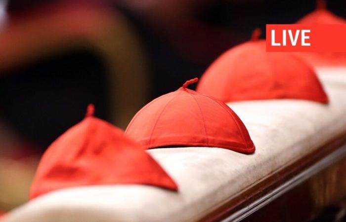 Direct: Who will be the 267th Pope? The conclave begins this Wednesday to designate the successor of François