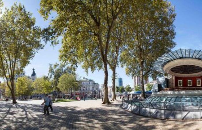 Bilbao.eus, Infobilbao, News, the centenary shadow bananas of Bilbao beaten records