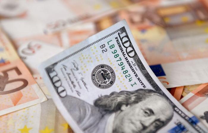 Ukraine could replace the dollar with the euro as a reference currency