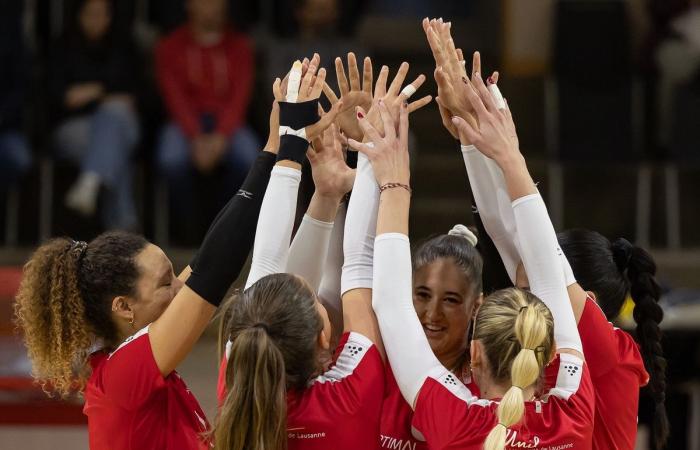 Volleyball: Luc obtains four promotions in five seasons