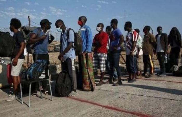 More than 550 Senegalese repatriated “voluntarily” from North Africa and the Sahel since the start of the year